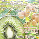 【送料無料】愛媛産 訳あり プチキウイフルーツ 5kg 産地直送 キウイ 国産 kiwi 果物 フルーツ ご家庭用 プチ 小玉 小粒【※送料無料は一部地域を除く】