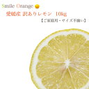 愛媛県産 訳ありレモン 10kg ノーワックス サイズ不揃い 家庭用 防腐剤不使用 産地直送 レモン 果物 国産 柑橘 柑橘類 フルーツ 