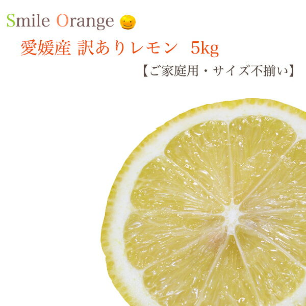 【送料無料】愛媛県産 訳ありレモン 5kg ノーワックス サイズ不揃い 家庭用 防腐剤不使用 産地直送 レモン 果物 国産 柑橘 柑橘類 フルーツ 【※送料無料は一部地域を除く】