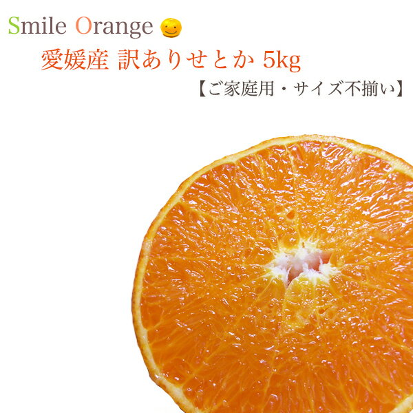 【送料無料】愛媛産 訳あり せとか 5kg ご家庭用 サイズ不揃い せとか 産地直送 みかん 愛媛みかん 果物 国産 柑橘 柑橘類 フルーツ 【※送料無料は一部地域を除く】