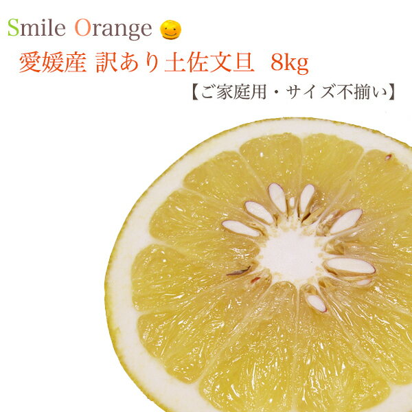 【送料無料】愛媛産 訳あり 土佐文旦 8kg ご家庭用 サイズ不揃い 産地直送 文旦 ぶんたん みかん 愛媛みかん 土佐文旦 果物 国産 柑橘 柑橘類 フルーツ 宿毛産 愛南町産【※送料無料は一部地域を除く】