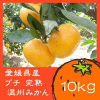 67％OFF！10kg　1000円！！大好評のため第18弾！愛媛県産　訳あり　プチ完熟みかん　10kg 【お買い物マラソン1215】お買い物マラソン1215more10【お買い物マラソン1215訳あり】【お買い物マラソン1215セール】【四国】【12月16日限定！50%OFF！】