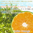 【ご予約開始♪9月下旬頃から発送!】愛媛県産 訳あり極早生みかん 2kg【送料無料※一部地域除く】
