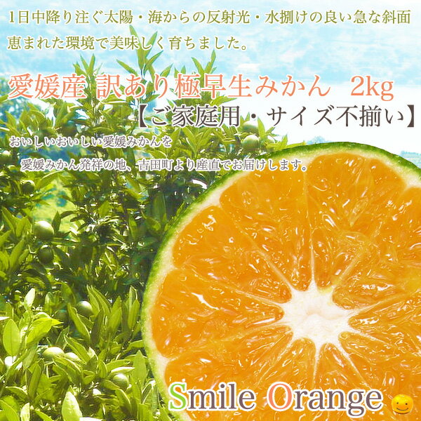 【送料無料】愛媛産 訳あり 極早生みかん 2kg ご家庭用 サイズ不揃い 産地直送 みかん 愛媛みかん 早生みかん 果物 国産 柑橘 柑橘類 フルーツ 【※送料無料は一部地域を除く】