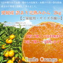 【ご予約開始♪2箱以上購入で送料無料】3箱買えば1箱おまけ!!訳あり完熟みかん2kg【不揃い・ご家庭用】