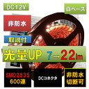 LEDテープライト 12V 5m 非防水電球色 白ベース 600連 DCコネクタ 正面発光 PL保険加入 間接照明