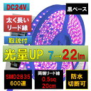 LEDテープライト 24V 5m 防水紫 パープル 黒ベース 2835 22lm 600連 両端配線 0.5sq 20cm正面発光 PL保険加入