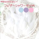 【5/13(火)12:00〜 お買い物マラソン 12時間限定全品5%OFFクーポン配布中】 送料無料 羽シャワー 約100枚入り 全4色 / 羽根 フェザー ホ...