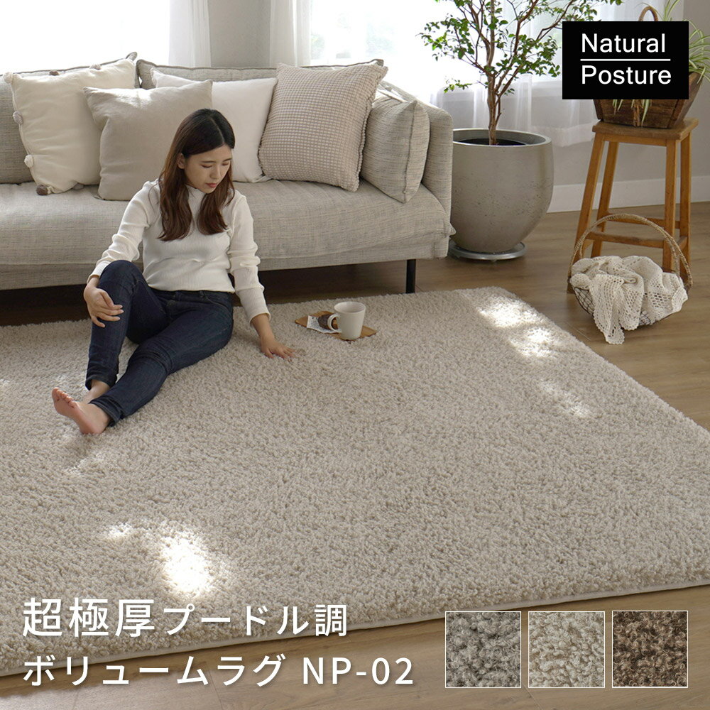 樂天商城 - ラグ ERARE 超極厚プードル調ボリュームラグ NP02 サイズ：95×140cm / 130×190cm / 190×190cm / 190×240cm 生活音軽減 抗菌 防臭 低ホルムアルデヒド 床暖房 ホットカーペット対応 裏面滑りにくい加工 NP-02 Natural Posture