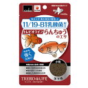 【訳あり】ペットフード 吉田飼料 賞味期限：6ヶ月以上あります トレビオライフ らんちゅうのエサ 45g 小粒 沈下性 (金魚 熱帯魚 稚魚)(えさ 餌 エサ)