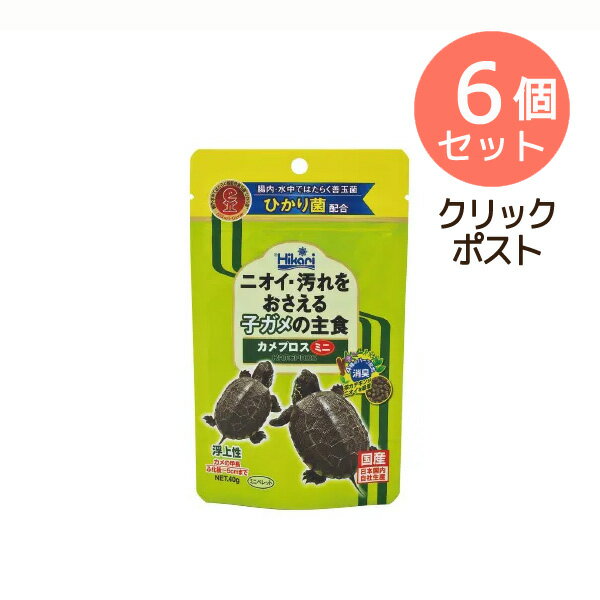 クリックポスト6個セット【訳あり】ペットフード キョーリン 賞味期限：6ヶ月以上あります ひかり カメプロスミニ 40g ニオイ汚れをおさえる子ガメの主食 ※他の商品と同梱できません (かめ 亀 カメ)(えさ 餌 エサ)