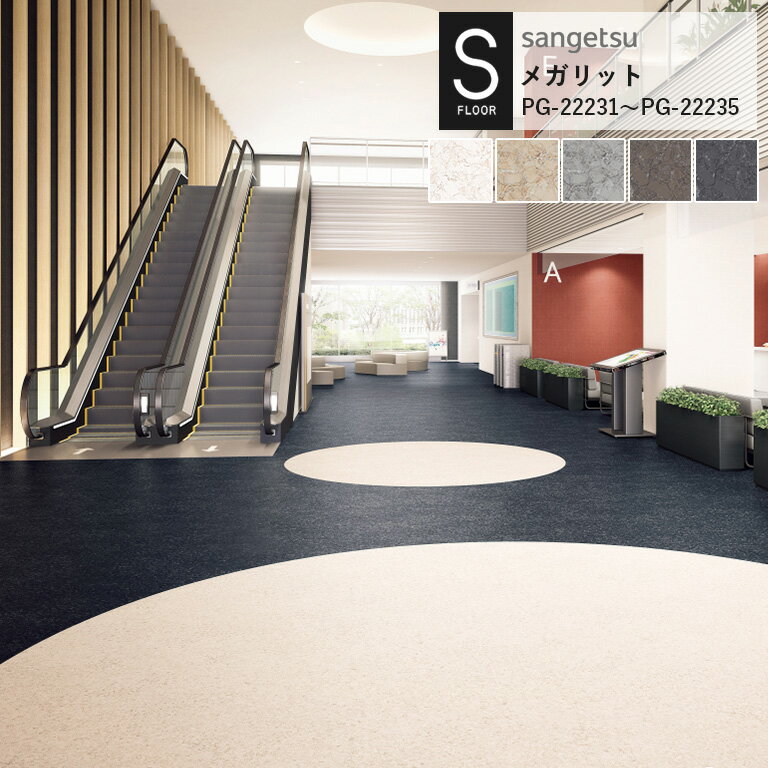 ֺ߸˸¤˽ѥ 󥲥 S-FLOOR 2022-2024 ᥬå PG-22231~PG-22235 2.0mm/...