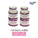 東リ 接着剤 バスナセメントEPO 小 1kg(A液0.5kg・B液0.5kg)×4個セット ケース売り エポキシ樹脂系 溶剤形 バスナフローレ・バスナアルティ・バスナリアルデザイン・ラバナ専用接着剤 施工材 床用 BNEP-CA