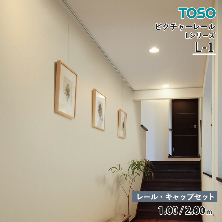 TOSO ピクチャーレール L-1 レール・キャップ ネジ穴あり 「後付用」 許容荷重：15kg サイズ：1.00 / 2.00m カラー：ホワイト セット内容：レール / キャップ T-1（ネジ止め式：横） ※フック/パーツ/ハンガー/取付ネジは付属していません。