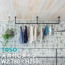 【今だけ値下げ】TOSO ハンギングバー H-1 製品幅2780mm×高さ250mm h-1 天井付Cタイプセット ブラック ホワイト 本体バー：アルミニウム合金 ランドリー 収納 ディスプレイ グリーン モビール キッチン収納 トーソー