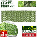 【楽天1位】グリーンフェンス 1m×3m 緑のカーテン 目隠し グリーンカーテン 目隠しフェンス ベ ...