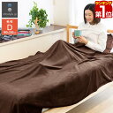 【楽天1位】毛布 ダブル マイクロフ