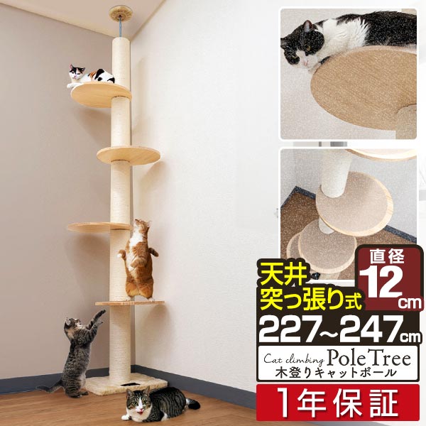 キャットツリー キャットステップ 突っ張り スリム 太め 紐巻き 12cm支柱 高さ227～247cm ステップ4段 猫タワー 低め シニア 運動不足 木登り 木登りタワー 木登りキャットポール 設置 簡単 爪とぎ 多頭 猫 ネコ ねこ ペット 1年保証 ■ 送料無料