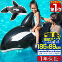 【楽天1位】フロート クジラ 浮き輪 ジャンボ ホエールライダー 185cm 大型 取っ手付 電動ポンプ 空気入れ おしゃれ かわいい イルカ シャチ ビーチ プール グッズ 浮輪 うきわ プール 海 海水浴 おもちゃ 水遊び 水あそび 1年保証 ■ 送料無料