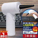 【楽天1位】エアダスター 電動 充電