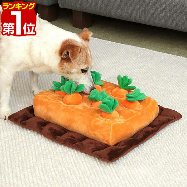 【楽天1位】ペット おもちゃ 犬 猫 ノーズワーク にんじん畑 ぬいぐるみ クッション 38×33cm ペットおもちゃ 嗅覚訓練 運動不足 ストレス解消 しつけ 噛み癖 歯磨き おやつ トレーニング ペット用品 知育玩具 ニンジン 犬用品 いぬ ねこ 1年保証 ■[送料無料][あす楽]