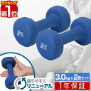 【楽天1位】ダンベル 3kg 2個セット カラーダンベル セット 合計 6kg 筋トレ グッズ トレーニング 男女兼用 男性 女性 メンズ レディース 鉄アレイ 鉄アレー インナーマッスル 筋力 自宅 エクササイズ 器具 ダイエット おしゃれ かわいい 1年保証 ■ 送料無料