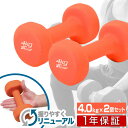 【楽天1位】ダンベル 4kg 2個セット カラーダンベル セット 合計 8kg 筋トレ グッズ トレーニング 男女兼用 男性 女性 メンズ レディース 鉄アレイ...