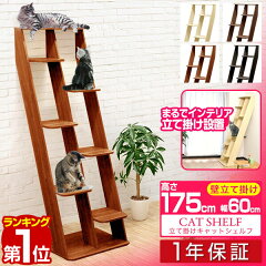 https://thumbnail.image.rakuten.co.jp/@0_mall/smile88/cabinet/master/1st/a11542.jpg