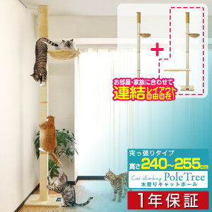 キャットツリー 突っ張り 直径 10cm 高さ 240 - 255cm 幅 40cm ハンモック付き 猫タワー シニア 運動不足 猫ちゃん 木登り 木登りタワー 木登りキャットポール 組み立て 設置 簡単 爪とぎ 多頭 猫 ねこ ペット スリム 1年保証 ■[送料無料][あす楽]