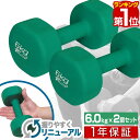 【楽天1位】ダンベル 6kg 2個セット カラーダンベル セット 合計 12kg 筋トレ グッズ トレーニング 男女兼用 男性 女性 メンズ レディース 鉄アレ...