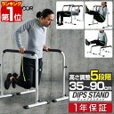 【楽天1位】ディップススタンド 耐