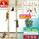 【楽天1位】キャットツリー 突っ張り ツイン 直径 10cm 高さ 240 - 255cm 幅 75cm 渡り板付き 猫タワー シニア 運動不足 木登り きのぼ...