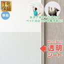 【SALE特価1,650円5/16(金)01:59まで】壁保護シート 60cm×300cm 透明 クリア 貼ってはがせる 弱粘着 フリーカット 保護フィルム ペ...