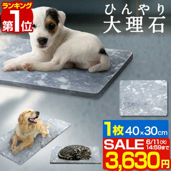 アイリスオーヤマ ペットシーツ 薄型 多頭飼い 小型犬 超大判サイズ 8枚×8袋(64枚入)
