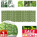 【3,960円→SALE3,740円〜7/11(金)01:59まで】【楽天1位】グリーンフェンス 1m×3m 緑のカーテン 目隠し グリーンカーテン 目隠しフェ...