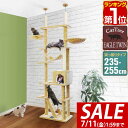 【11,330円→SALE9,900円〜7/11(金)01:59まで】【楽天1位】キャットツリー 突っ張り 高さ 235〜255cm 幅 60cm 猫タワー シ...