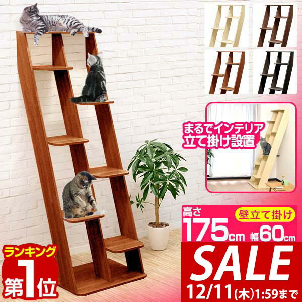 【7,920円→SALE6,930円〜12/11(木)01:59まで】【楽天1位】キャットツリー 据 ...