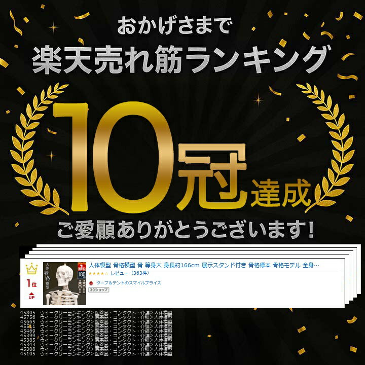 �ڳ�ŷ1�̡ۿ����Ϸ� �����Ϸ� �� ������ ��Ĺ��166cm Ÿ����������դ� ����ɸ�� ���ʥ�ǥ� ���ȹ����Ϸ� ��ʪ�� ľΩ ��ư ��� ���� ��˶�� ���� ������ ���� ���� �ꥢ�� ��ץꥫ �ǥ����ץ쥤 ���ʥ�ǥ� ���å� �ҥȹ��� ��˶���� 1ǯ�ݾ� ��[����̵��]