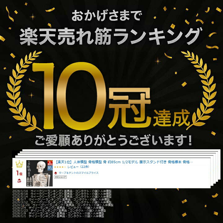 �ڳ�ŷ1�̡ۿ����Ϸ� �����Ϸ� �� ��85cm 1/2��ǥ� Ÿ����������դ� ����ɸ�� ���ʥ�ǥ� ���ȹ����Ϸ� ľΩ ��ư ��� ���� ��˶�� ���� ������ ���� ������ ������ �ꥢ�� ��ץꥫ �ǥ����ץ쥤 ���ʥ�ǥ� ���å� ���� ��˶���� ��[����̵��]