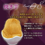 焼き芋ペースト 茨城県産 焼き芋 モンブラン スムージー チーズケーキ かき氷 クレープ パンケーキ 1mm モンブラン専用 焼き芋ペースト(1kg)