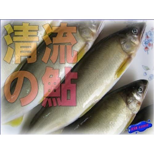 【冷凍】美味です!!「清流の鮎1kg」-特大サイズ10－13匹入り