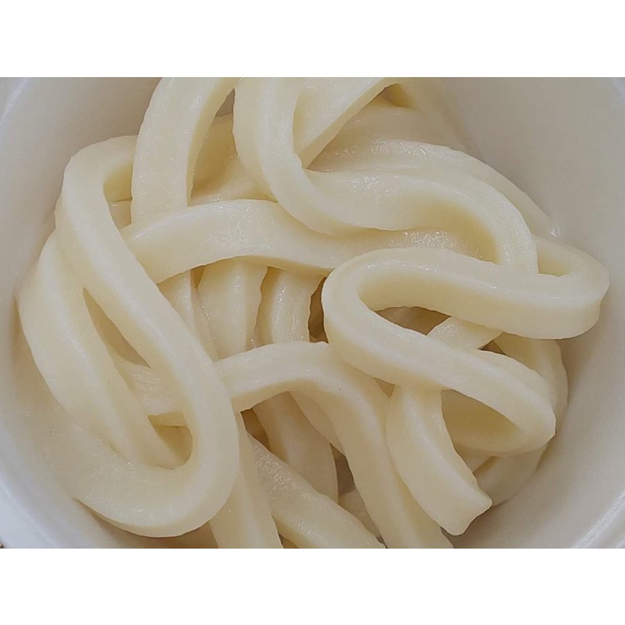 「　健美麺　」　糖質　30％　カット　うどん　200g×40個　業務用　冷凍　ミニダブル 2