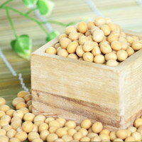 トヨマサリ大豆　大粒2．8分上　北海道産　約1kg 令和4年度産新物 970g　ダイエット　美肌　メール便