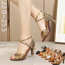 社交ダンス シューズ ダンスシューズ レディース ダンスヒール ストラップ レディース靴 パンプス 練習用 演出 発表会 イベント モダン ラテン兼用社交ダンス...