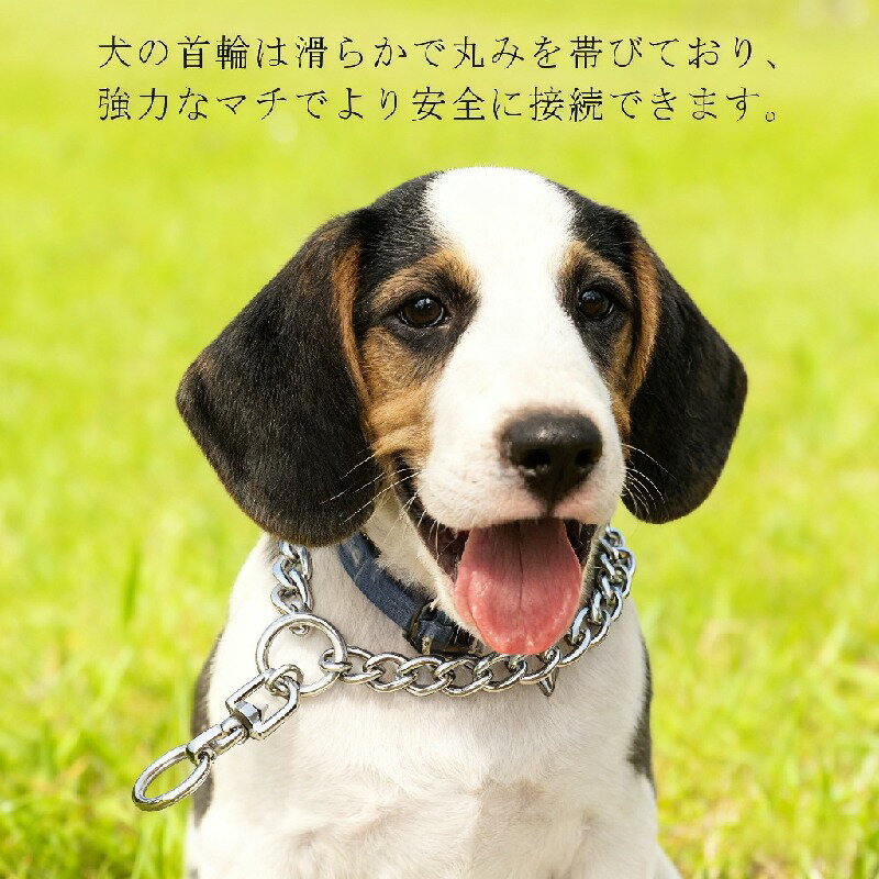 首輪 しつけ用 訓練 引っ張り 簡単装着 しつけ用 チェーン 犬 ステンレス 大型犬 トレーニング ベルジ..