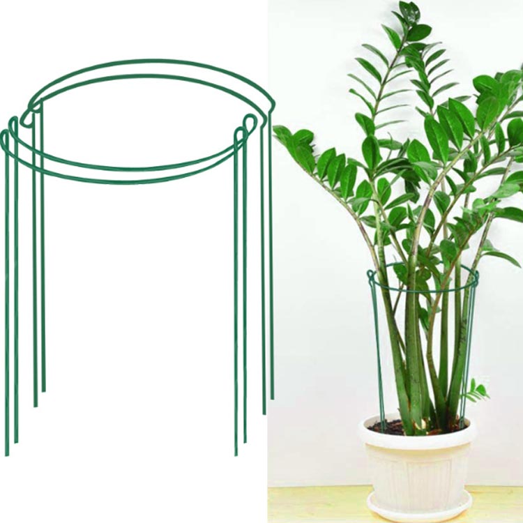 Rakuten - 散乱 10個セット ガーデニング用支柱 植物支柱 鉄製 サポート 植物 植木鉢用 ハーフリング 花支え 園芸支柱 頑丈 フラワー ガーデニング 支柱 植物サポート つる性植物 観葉植物 落下 半円型 転倒防止 簡単取付 バラ シャクヤク