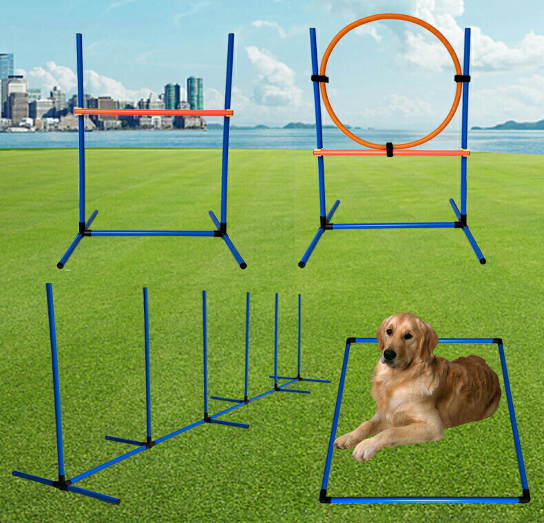 �� ������ƥ� ��������� �ϡ��ɥ� ���å� �ɥå�������ƥ� �ɥå�������ƥ���������� ������ƥ��Ѷ� �ɥå� �㳲ʪ ������ �С� �ɥå���� �ȥ졼��...