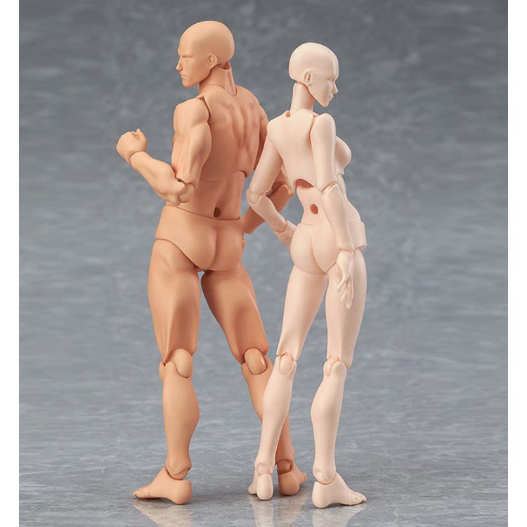 乐天商城 - デッサン人形 デッサンモデル モデル人形 男 女 デッサンドール フィギュア 漫画 キャラクター イラスト 作画 ドールタイプ 練習 デッサン 模型 小道具 スタンド付き 画材練習用 男性 女性 肌色 グレー 送料無料