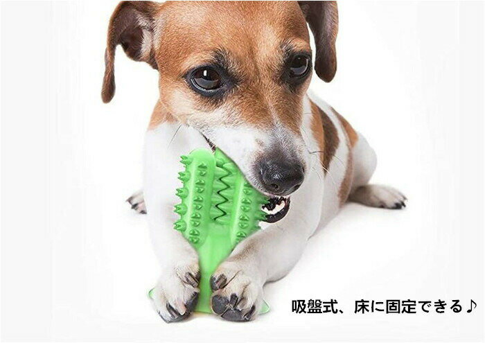犬 歯ブラシ 噛む おもちゃ ゴム製 歯垢 歯石 口臭対策 吸盤式 サボテン 口腔ケア ストレス解消