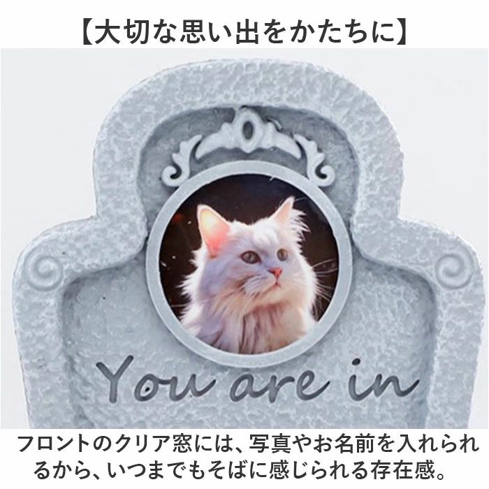 ���� �ڥå� �ڥå��� �� ǭ �� �ڥå����� �ڥåȥ��ꥢ������ ���ꥢ�� ���� ���� ��ǭ �ڥåȶ��� �ڥå��� �� ���� �������� ������� ��ޯ�� ���襤�� ���ꥢ��ץ졼�� ����� ����ץ� ��ưʪ